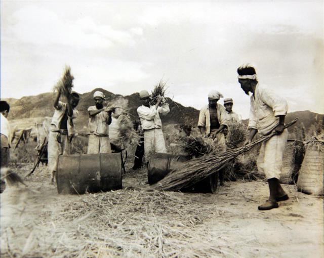 1951년 전쟁 속의 일상