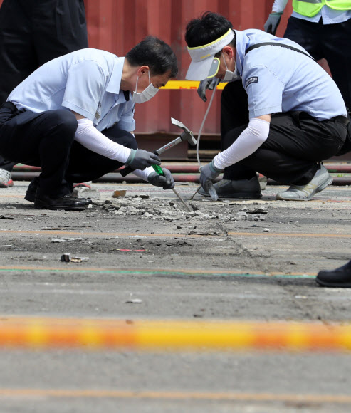 지난 21일 생태계 교란종인 ‘붉은불개미’가 발견된 부산 북항 자성대부두에서 농림축산검역본부 직원들이 전문가와 함께 합동 조사를 하고 있다.  부산 연합뉴스