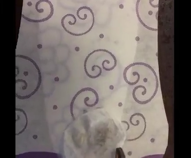 생리대 속 살아있는 거미의 끔찍한 모습(유튜브 영상 캡처)