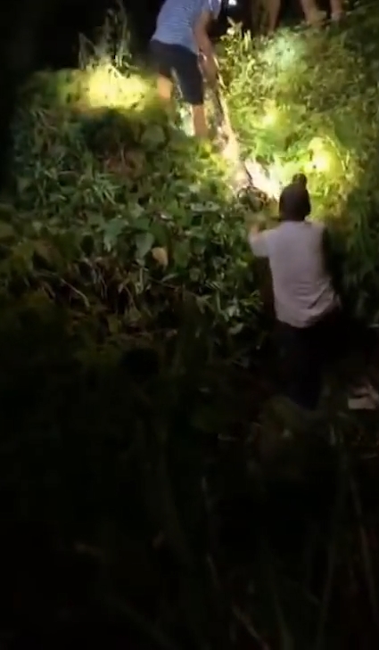 한 마을 주민의 애완견을 삼킨 왕 비단뱀이 주민의 ‘노력’으로 다시 내뱉는 놀라운 모습(유튜브 영상 캡처)