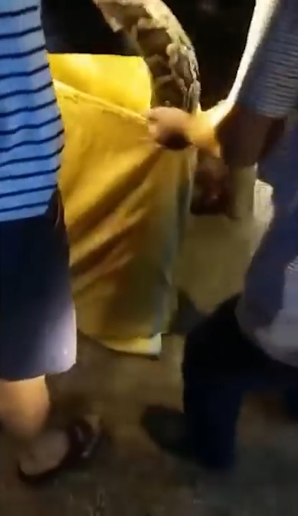 한 마을 주민의 애완견을 삼킨 왕 비단뱀이 주민의 ‘노력’으로 다시 내뱉는 놀라운 모습(유튜브 영상 캡처)