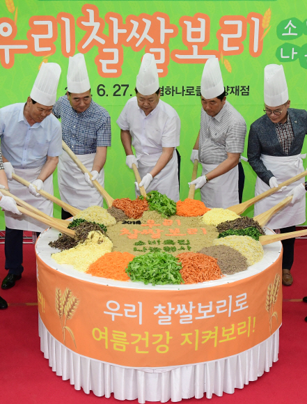 찹쌀보리 비빔밥 군침도네 