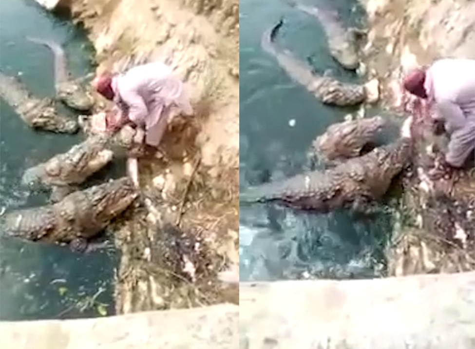 악어들이 우글거리는 강 턱에 앉아 악어 입에 직접 먹이를 주고 있는 한 무슬림 남성의 모습(유튜브 영상 캡처)