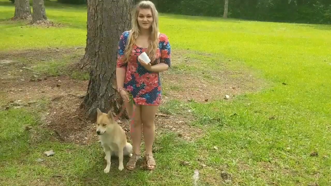 페이스북 영상 캡처