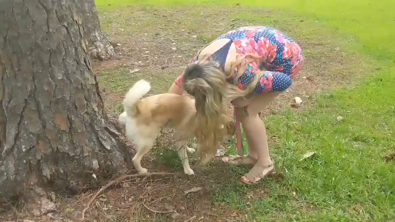 페이스북 영상 캡처