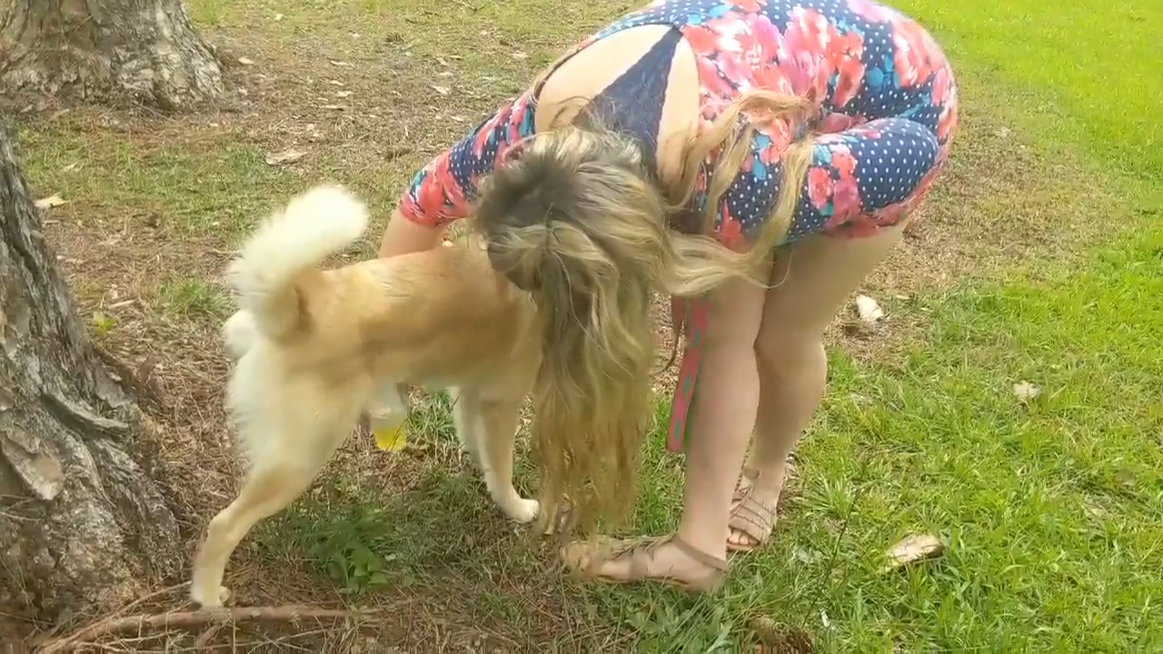 페이스북 영상 캡처