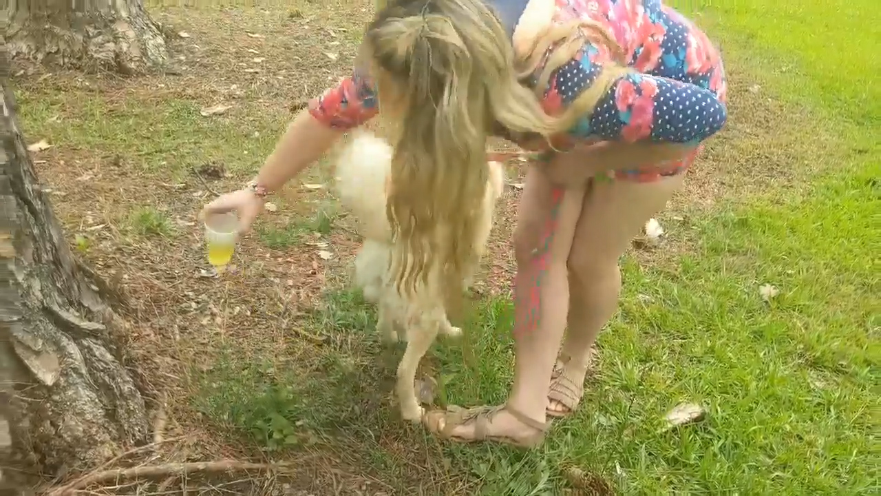 페이스북 영상 캡처