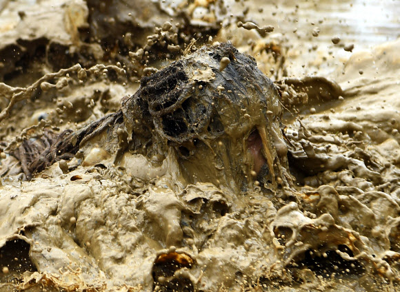 네팔의 젊은이들이 29일(현지시간) 카트만두 외곽의 레 마을(Lele village)의 논에서 즐거운 시간을 보내고 있다. 네팔의 농부들은 매년 모내기 시즌이 시작되면 ‘National Paddy Day’를 기념하고 있다. AFP 연합뉴스