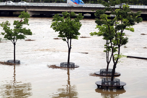 대전과 충남지역에 밤새 많은 비가 내린 2일, 대전 유성 갑천 수위가 높아져 수변 공원이 잠겨 있다. 2018.7.2  연합뉴스