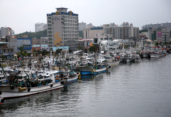 제7호 태풍 쁘라삐룬이 북상하자 2일 경북 포항 동빈내항에 어선이 줄을 지어 대피해 있다. 쁘라삐룬은 태국에서 제출한 비의 신 이름이다. 2018.7.2  연합뉴스