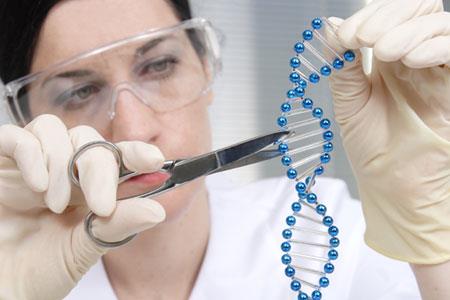 특정 유전자나 DNA를 자르거나 붙이는 등 편집을 통해 질병을 치료하는 유전자 가위 기술은 눈부시게 발전하고 있다. 네이처/사이언스포토라이브러리·사이언스 제공