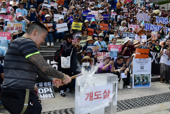 15일 서울 세종문화회관 중앙계단 앞에서 동물권 단체 케어 및 동물애호가들이 ‘개도살 금지 동물보호법’ 제정을 촉구하는 집회를 하고 있다. 2018.7.15.    이종원 선임기자 jongwon@seoul.co.kr