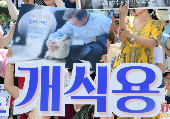 15일 서울 세종문화회관 중앙계단 앞에서 동물권 단체 케어 및 동물애호가들이 ‘개도살 금지 동물보호법’ 제정을 촉구하는 집회를 하고 있다. 2018.7.15.    이종원 선임기자 jongwon@seoul.co.kr
