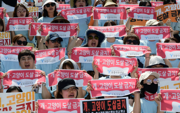 15일 서울 세종문화회관 중앙계단 앞에서 동물권 단체 케어 및 동물애호가들이 ‘개도살 금지 동물보호법’ 제정을 촉구하는 집회를 하고 있다. 2018.7.15.    이종원 선임기자 jongwon@seoul.co.kr