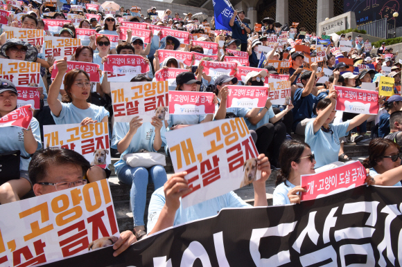 15일 서울 세종문화회관 중앙계단 앞에서 동물권 단체 케어 및 동물애호가들이 ‘개도살 금지 동물보호법’ 제정을 촉구하는 집회를 하고 있다. 2018.7.15.    이종원 선임기자 jongwon@seoul.co.kr