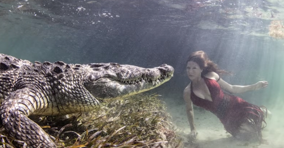 야생 악어와 촬영 중인 모델