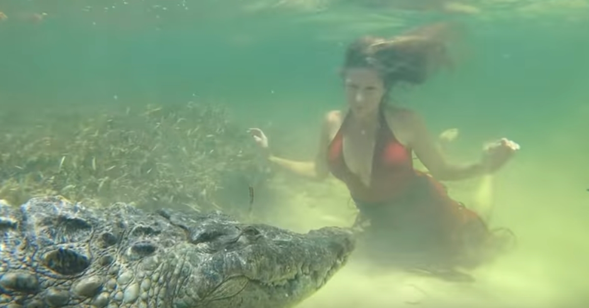 야생 악어와 촬영 중인 모델