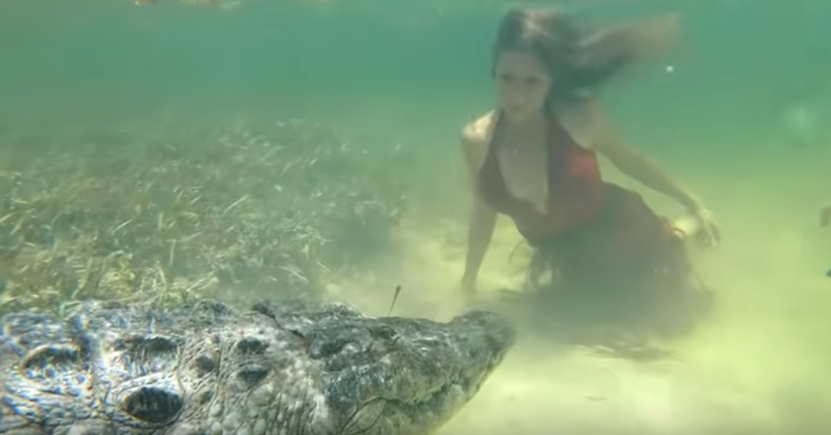 야생 악어와 촬영 중인 모델