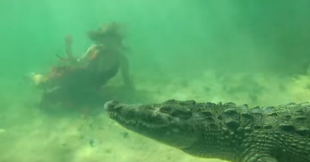 야생 악어와 촬영 중인 모델