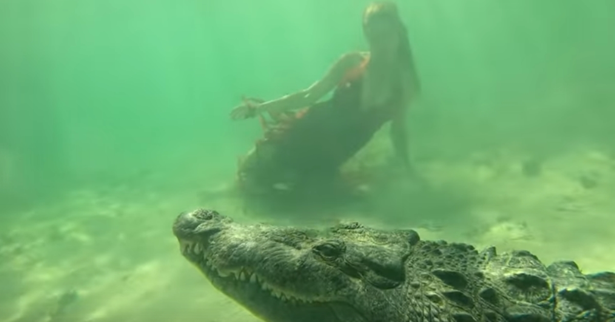 야생 악어와 촬영 중인 모델