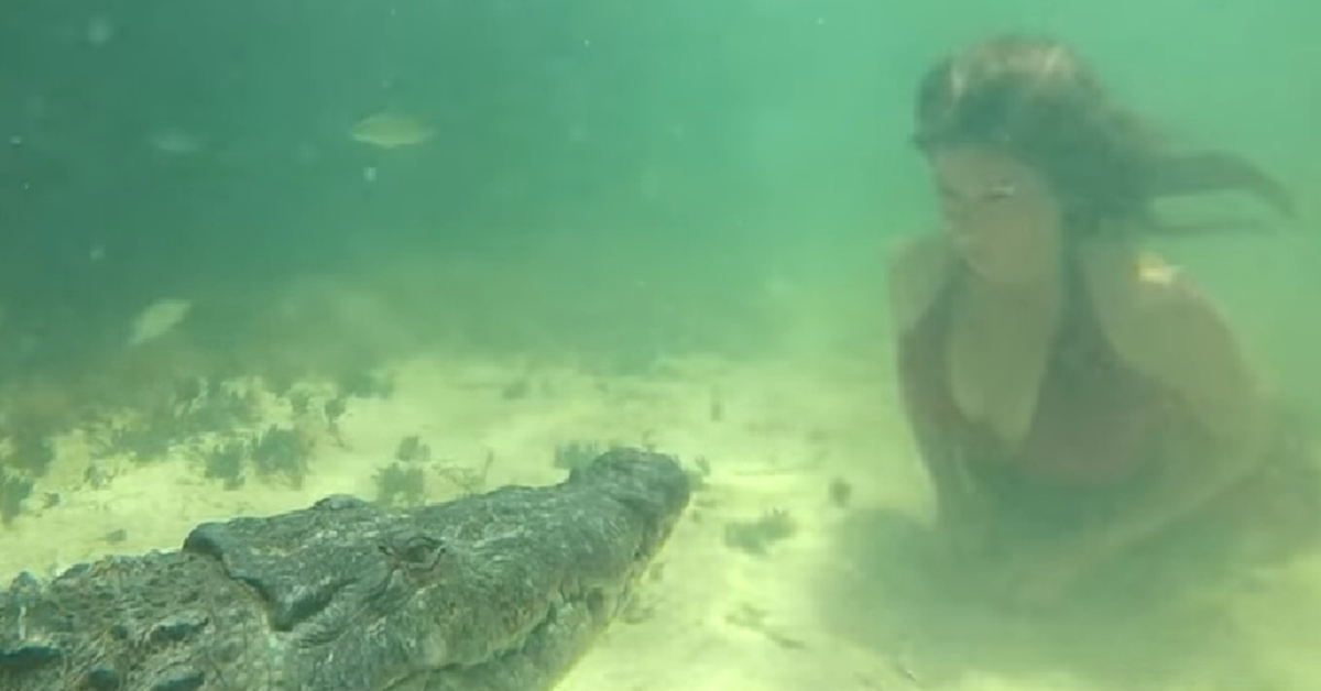 야생 악어와 촬영 중인 모델