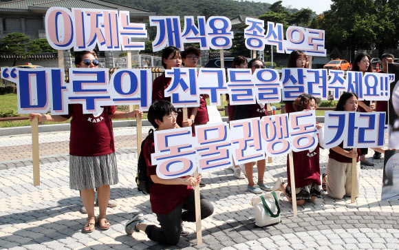 ‘개식용은 이제 그만’