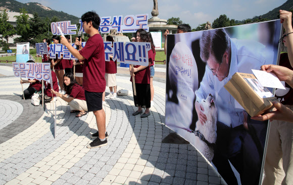동물권행동 ‘카라’, 개식용 종식 촉구