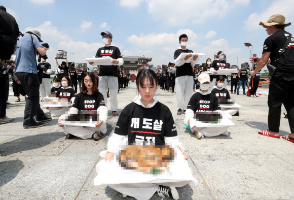 개도살 이제는 멈춰주세요