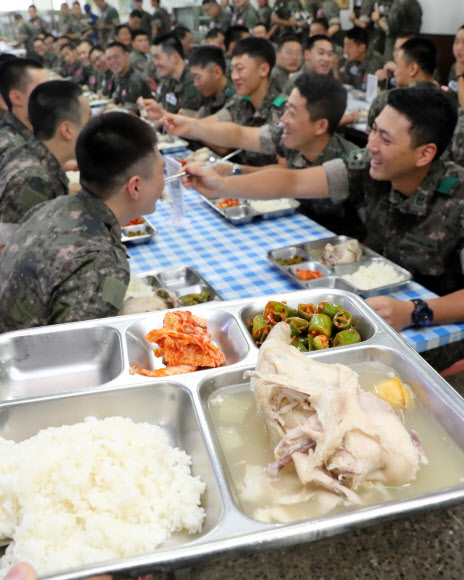복날에는 삼계탕이 최고