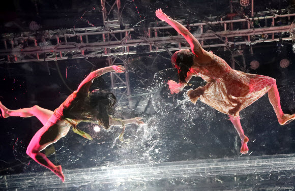 공중 거대한 수조에서의 화려한 몸짓