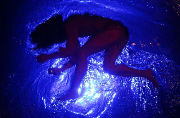 ‘누워서 봐야 제맛’, 거대한 공중 수조