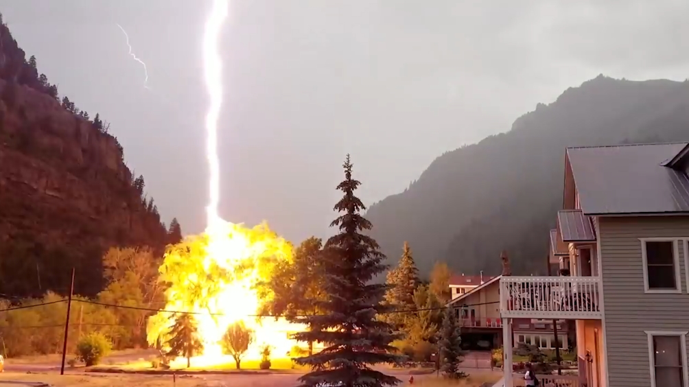 콜로라도 한 주택 마당 나무에 떨어진 무시무시한 번개모습(유튜브 영상 캡처)