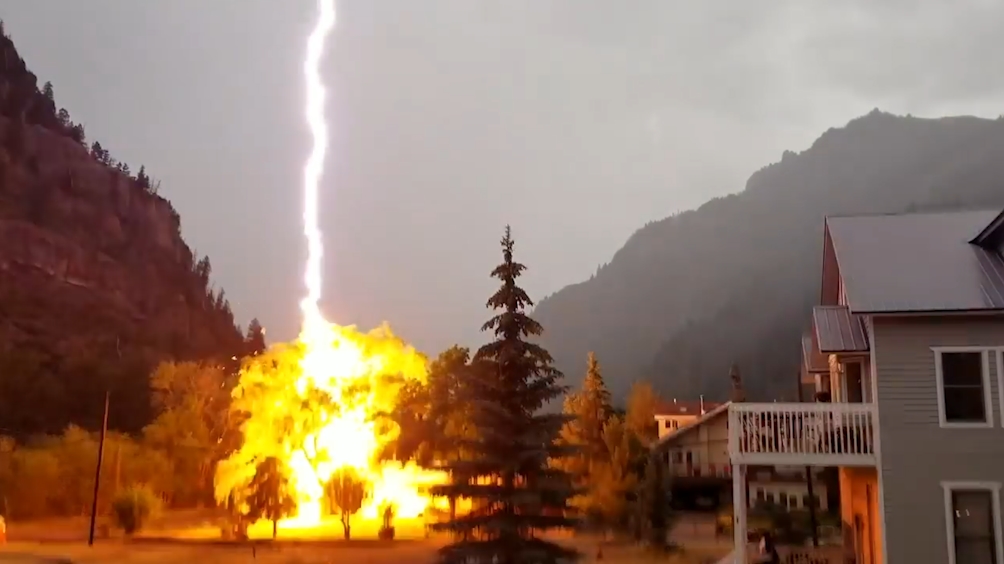 콜로라도 한 주택 마당 나무에 떨어진 무시무시한 번개모습(유튜브 영상 캡처)
