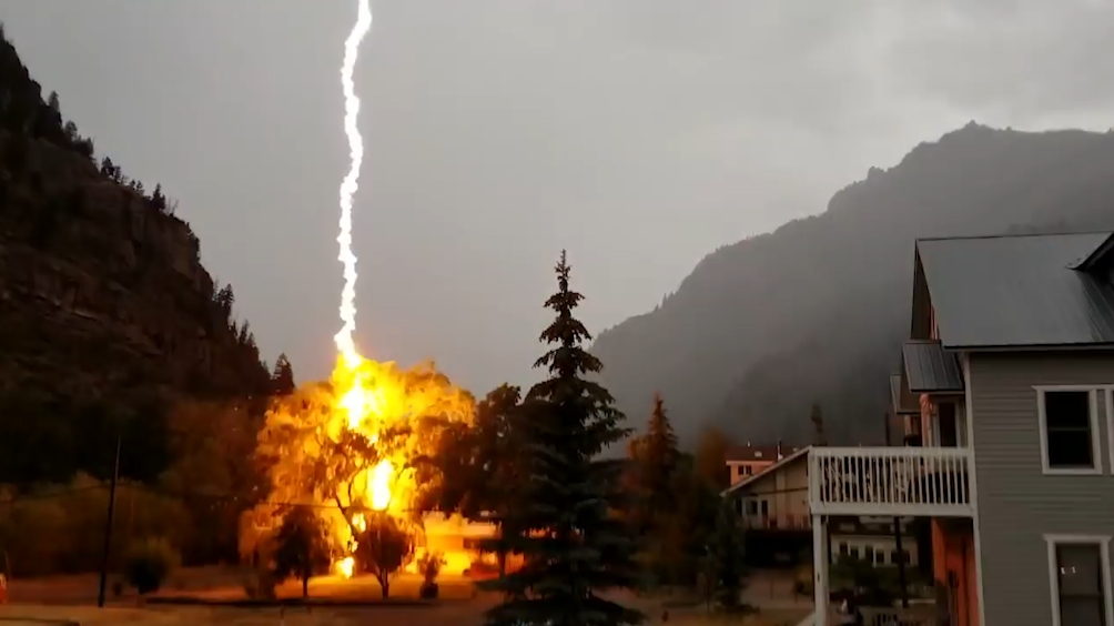 콜로라도 한 주택 마당 나무에 떨어진 무시무시한 번개모습(유튜브 영상 캡처)