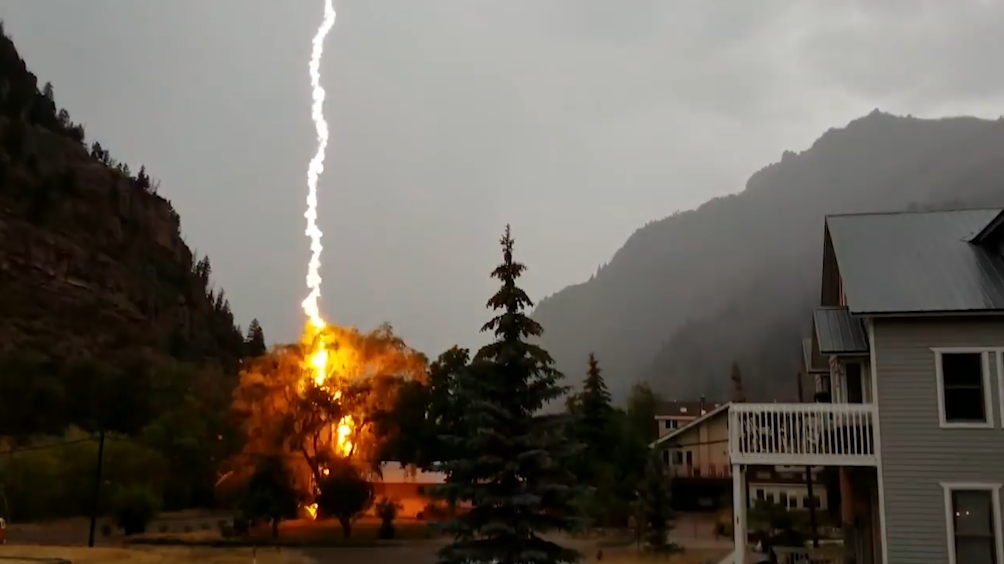 콜로라도 한 주택 마당 나무에 떨어진 무시무시한 번개모습(유튜브 영상 캡처)