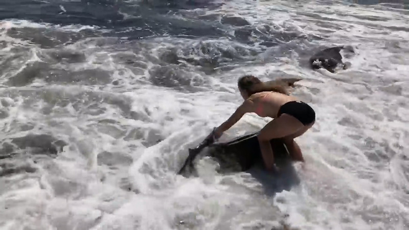 사진출처=Eweather/youtube