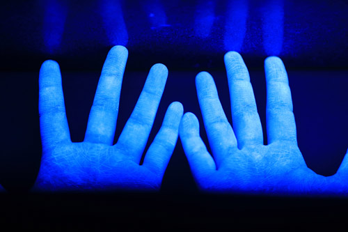 질병 감염은 대부분 손을 통해 이뤄진다. 손만 청결하게 관리해도 세균과 바이러스 감염 위험을 크게 낮출 수 있다. 서울신문 DB