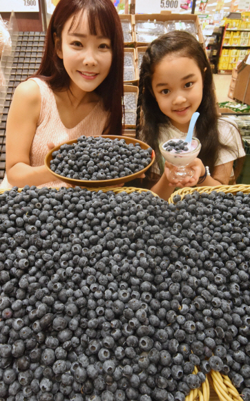 23일 서울 용산구 롯데마트 서울역점에서 모델들이 미국산 블루베리를 선보이고 있다. 2018.7.23 최해국 선임기자seaworld@seoul.co.kr