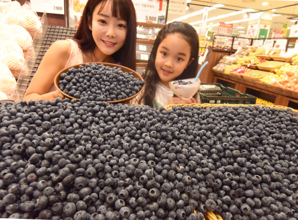 23일 서울 용산구 롯데마트 서울역점에서 모델들이 미국산 블루베리를 선보이고 있다. 2018.7.23 최해국 선임기자seaworld@seoul.co.kr