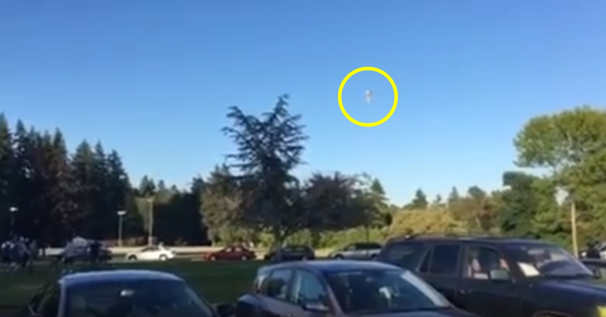 하늘에 성인용 인형 띄운 남성