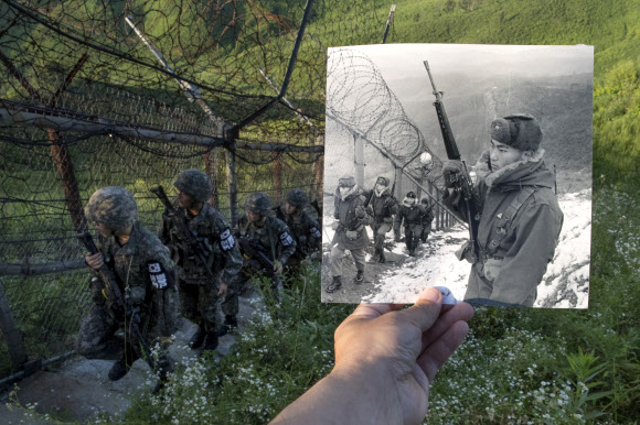 ‘젊은 날의 숲 DMZ’