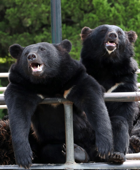 ‘우리도 더워서 힘들어요’