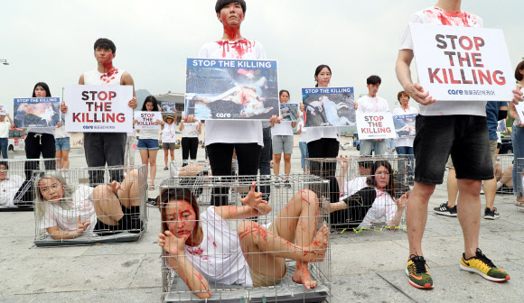 광화문광장, 개 도살 금지 퍼포먼스