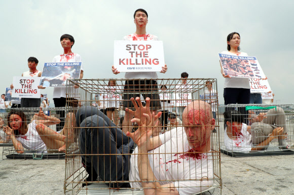 광화문광장, 개 도살 금지 퍼포먼스