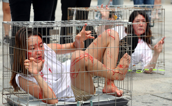 개 도살 금지 촉구 ‘철창 퍼포먼스’