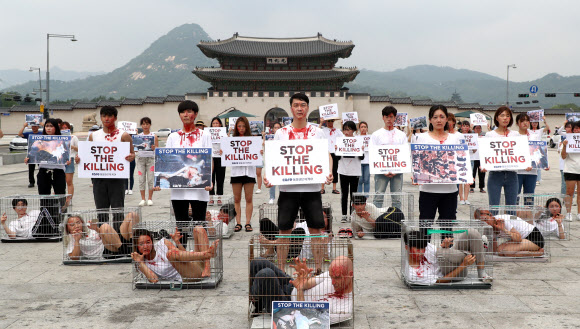 ‘철창 퍼포먼스’ 개 도살 금지 촉구
