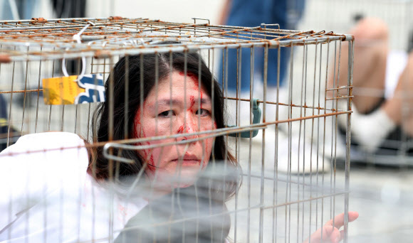 ‘철창 퍼포먼스’ 개 도살 금지 촉구