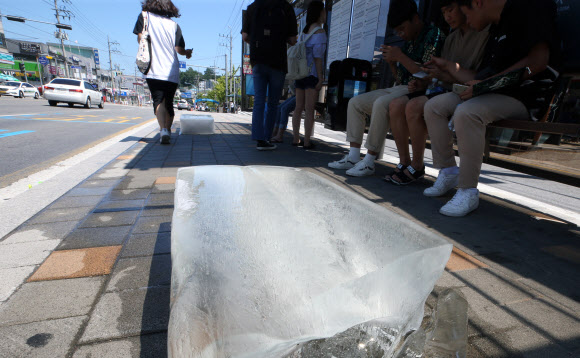 ‘대형 얼음이 폭염 잡아요’