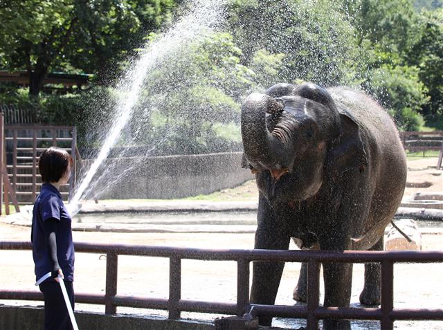 ‘시원한 물로 더위 탈출’