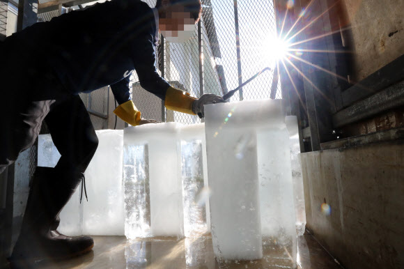 [최악폭염] 얼음공장 ‘바쁘다 바뻐’